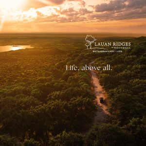 lauan ridges by rockwell